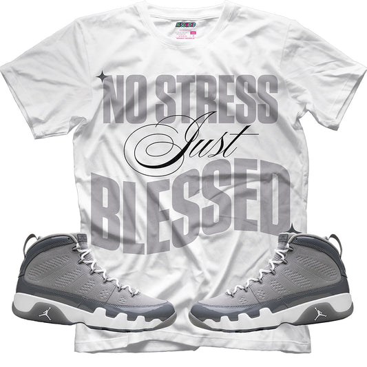 No Stress Just Blessed (Air Jordan 9 Cool Grey) T-Shirt